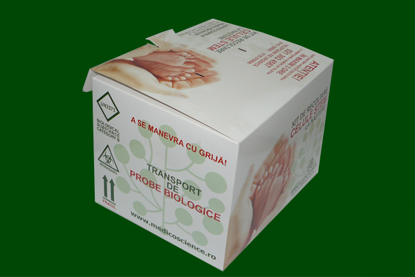 galerie foto 4 ambafabrik